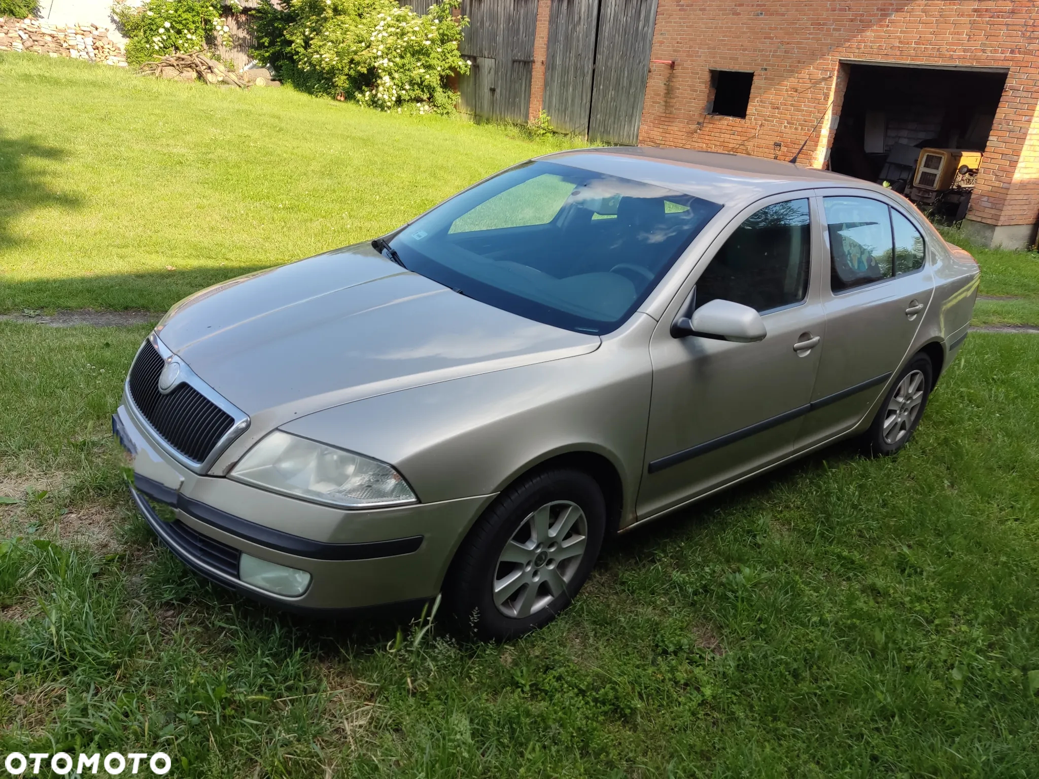 Skoda Octavia 1.9 TDI Elegance - 2