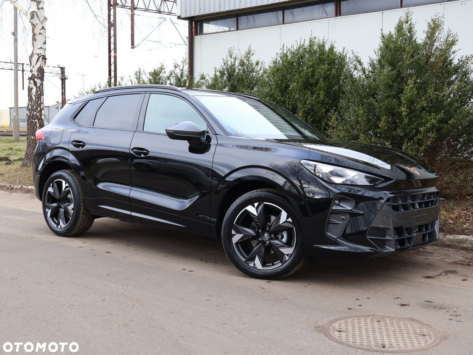 Cupra Terramar 1.5 eTSI mHEV DSG - 19