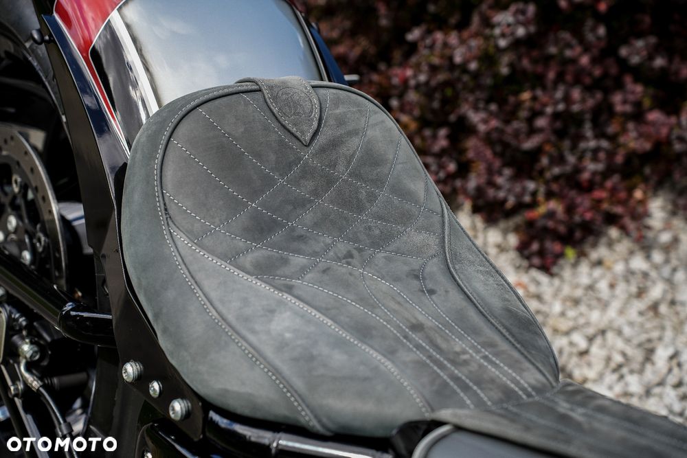 Harley-Davidson Softail - 16