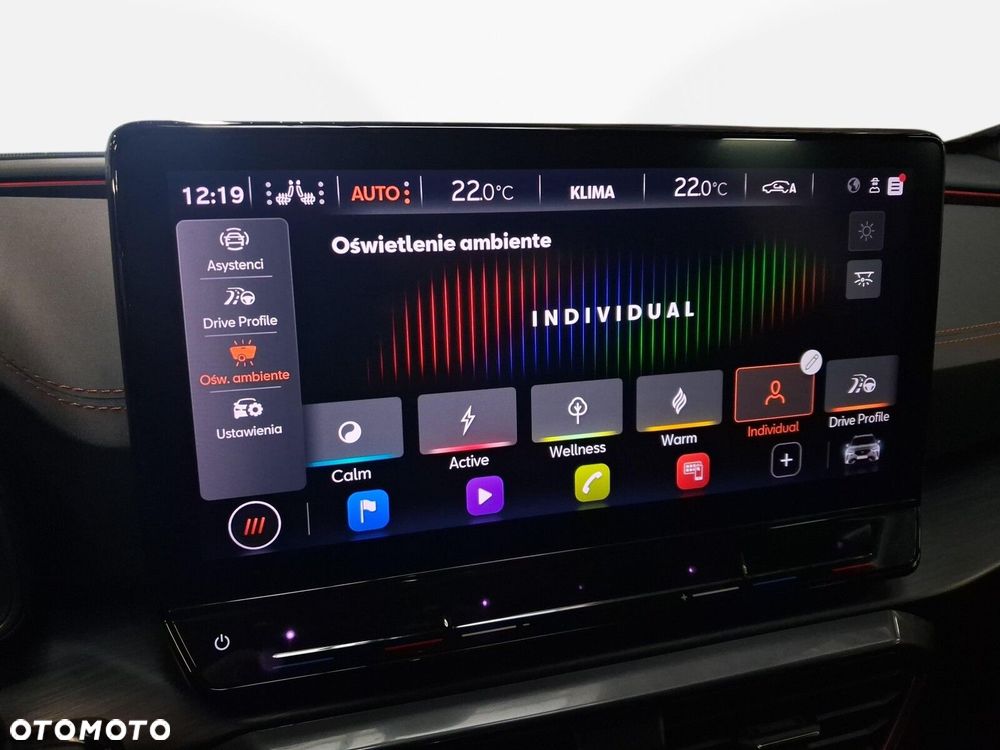 Cupra Formentor 2.0 TSI VZ DSG - 24