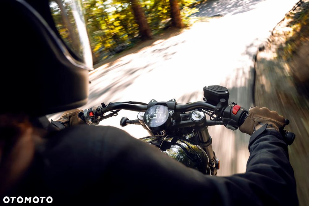 Benda Chinchilla 500 - 27