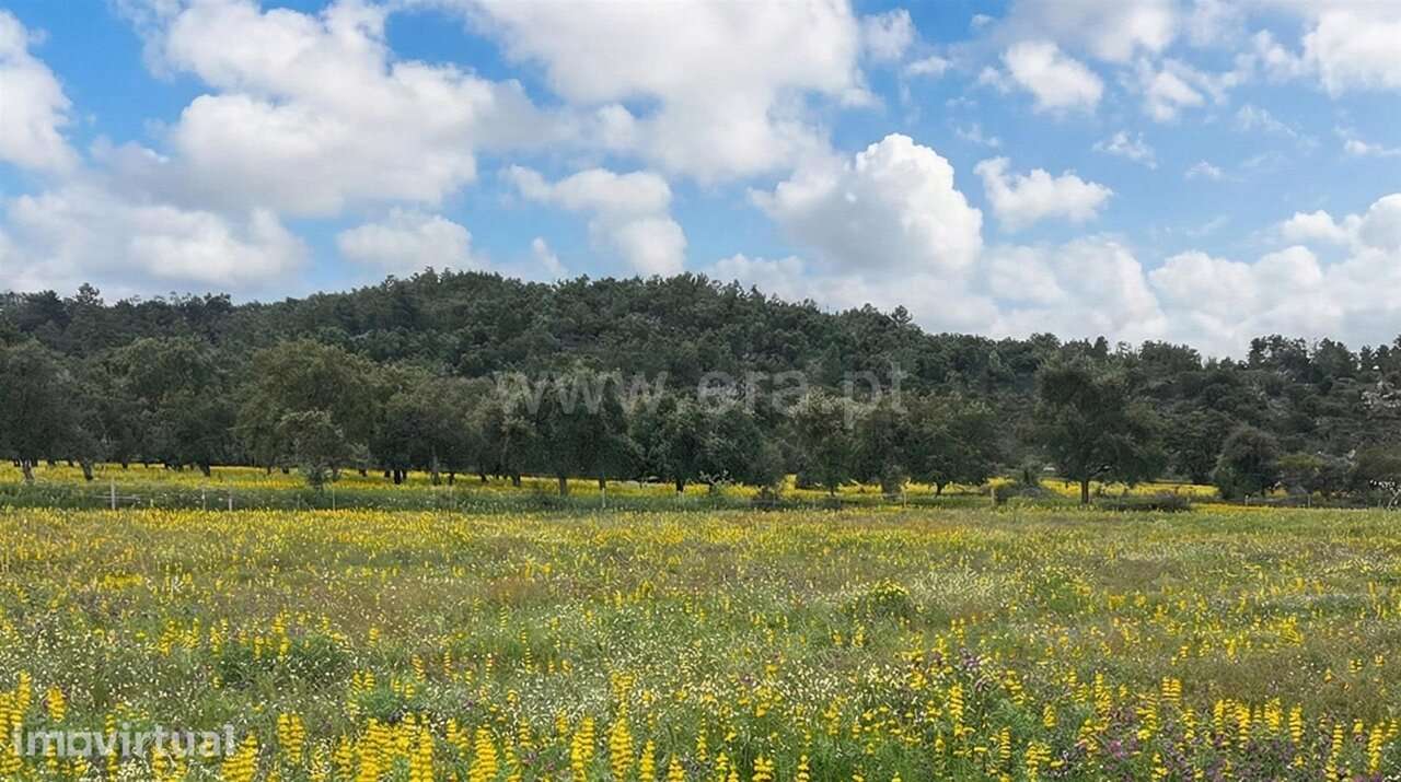 Quinta T1 / Fundão, Póvoa da Palhaça - Grande imagem: 2/20