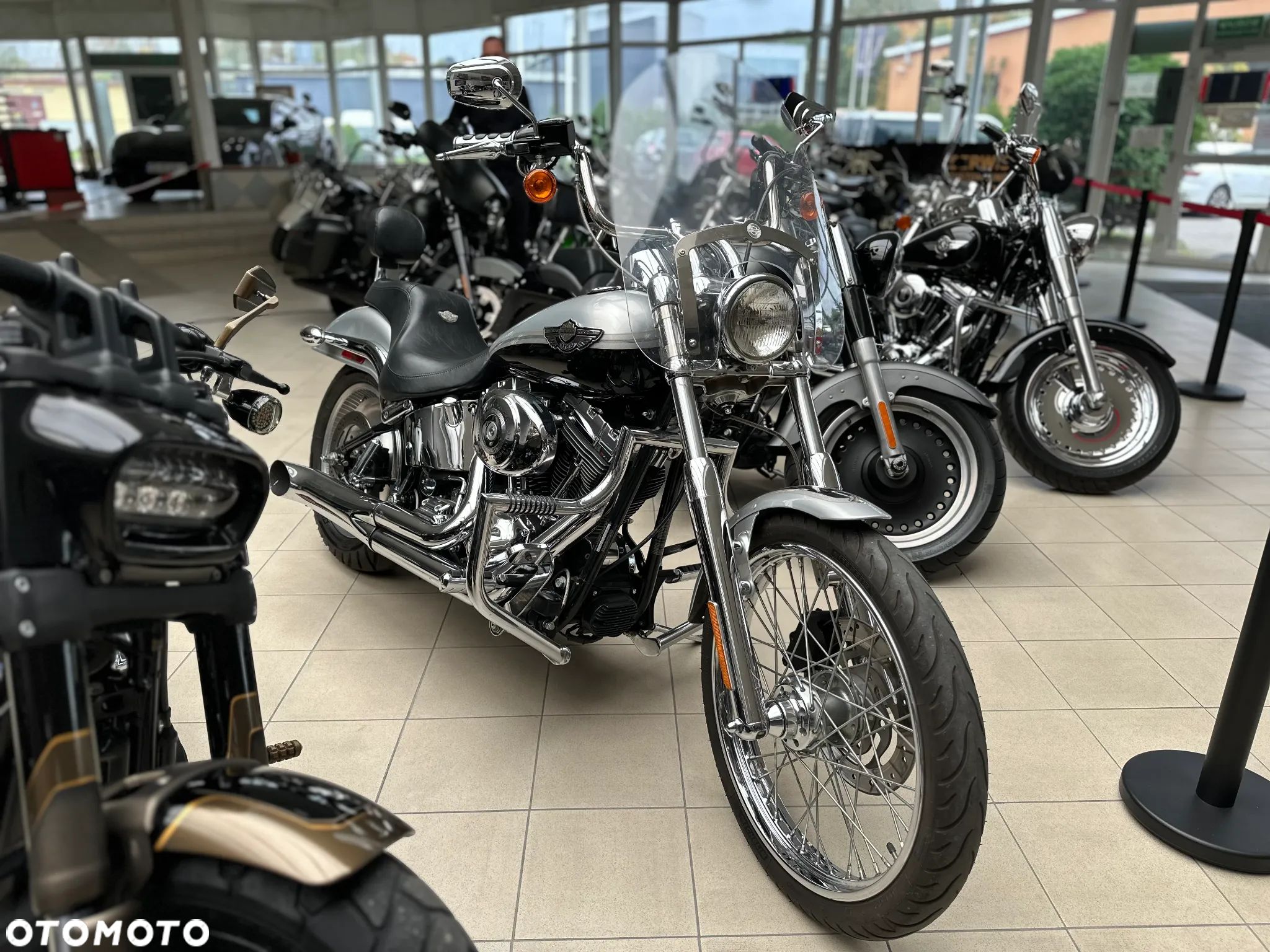 Harley-Davidson Softail - 1