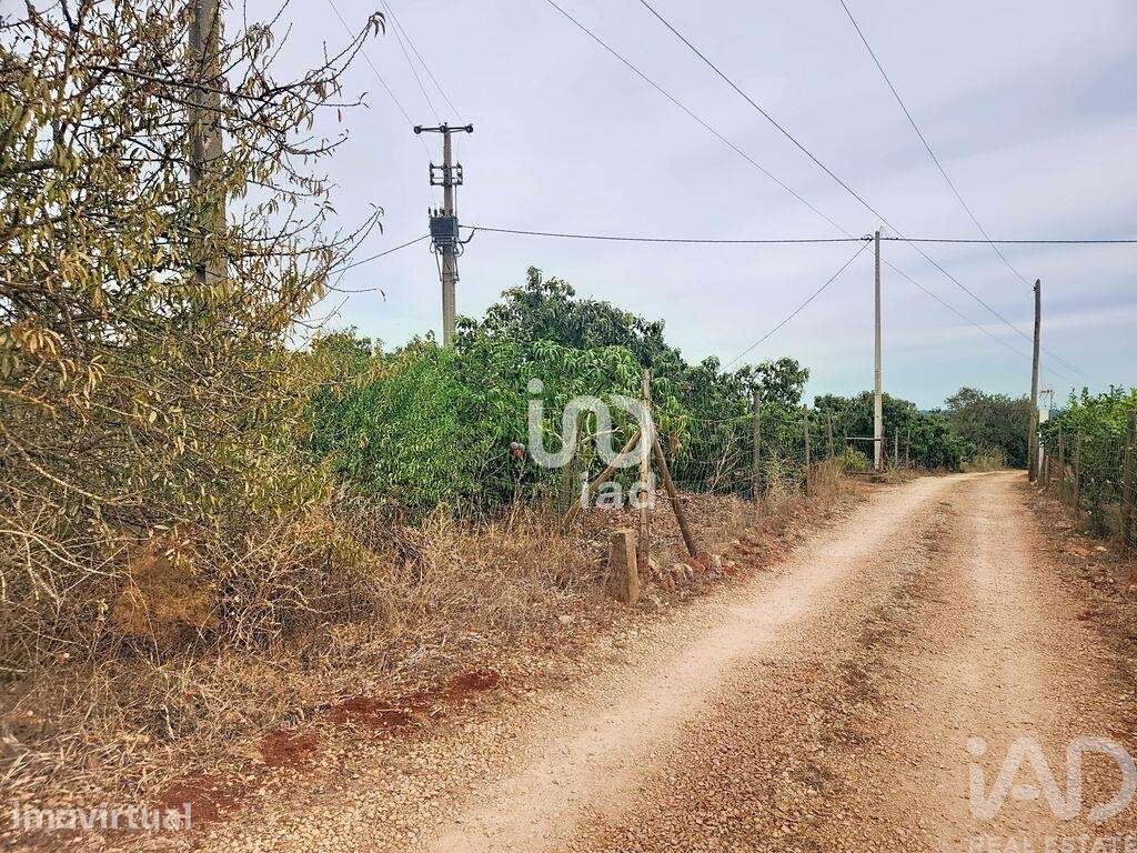 Terreno Agrícola em Silves - Grande imagem: 3/22