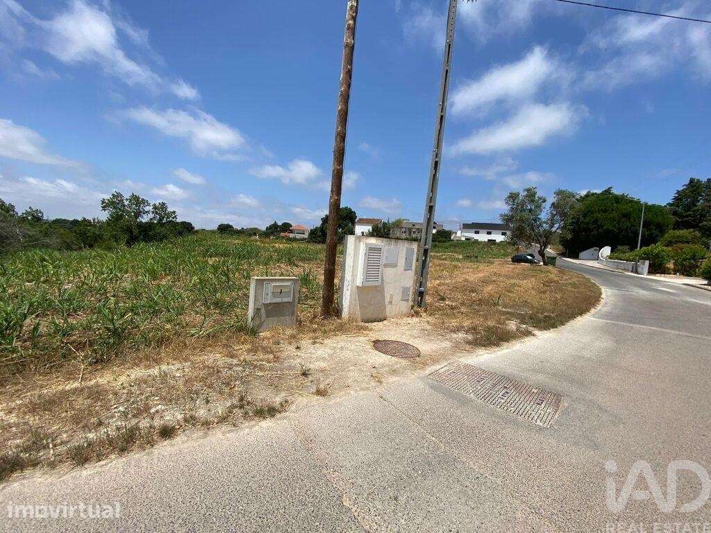 Terreno em Cadaval e Pêro Moniz de 11320,00 m2 - Grande imagem: 2/12