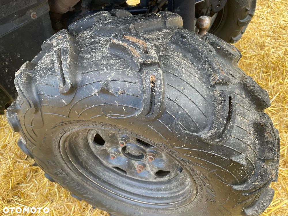 Yamaha Grizzly - 10