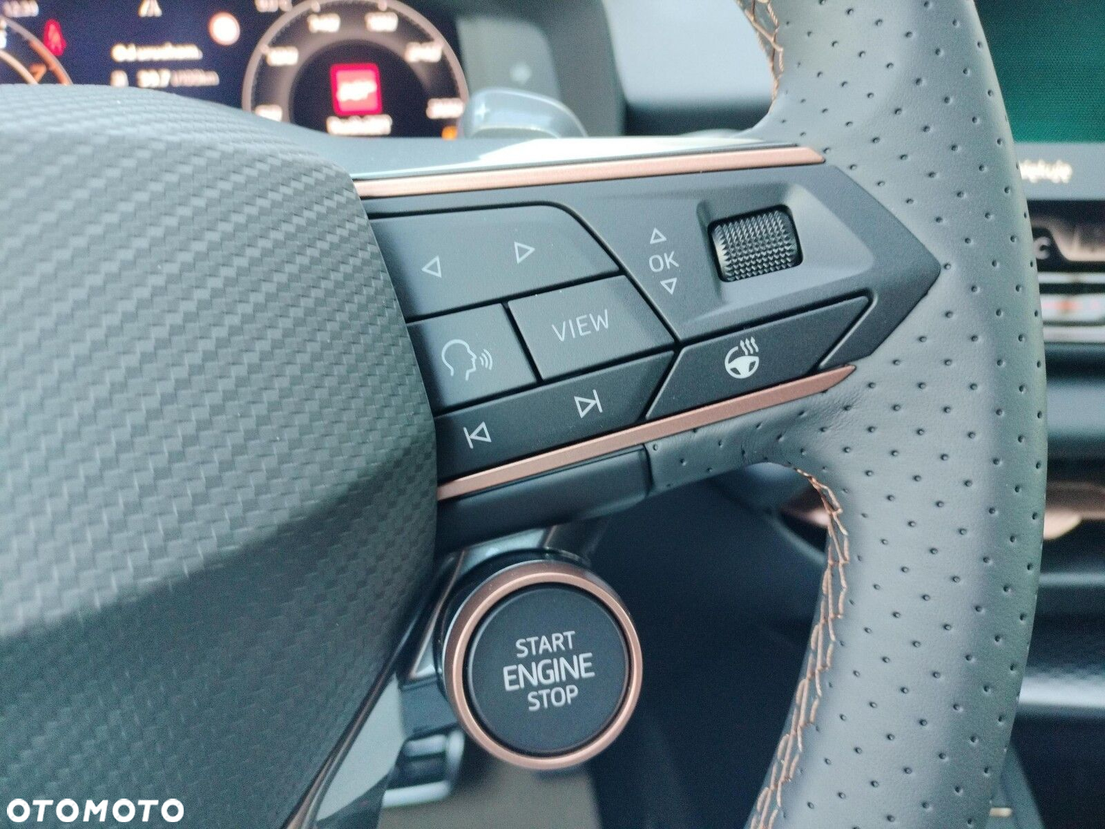 Cupra Terramar 1.5 eHybrid PHEV DSG - 25