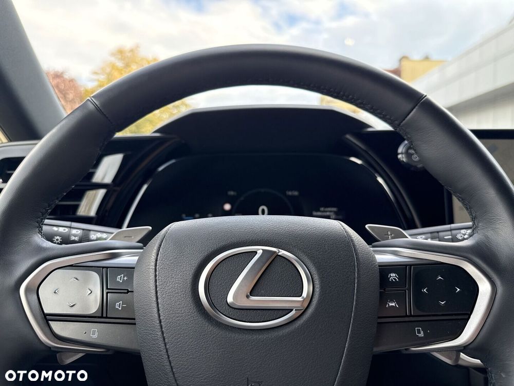 Lexus RX - 17