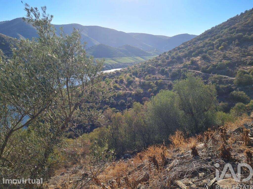 Terreno Agrícola em Urros e Peredo dos Castelhanos - Grande imagem: 4/11