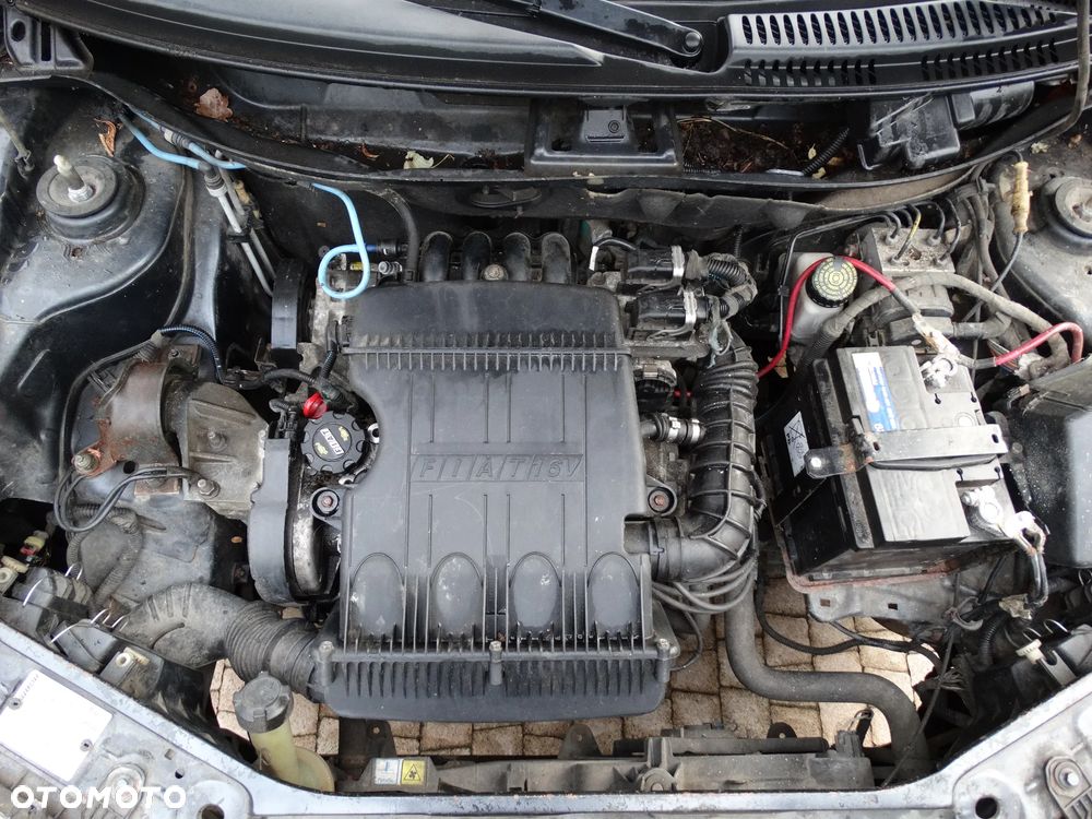 Fiat Punto 1.2 16V ELX - 15