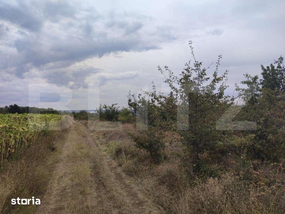 Teren 6291 mp, extravilan, zona Leamna de jos - Imagine principală: 4/4