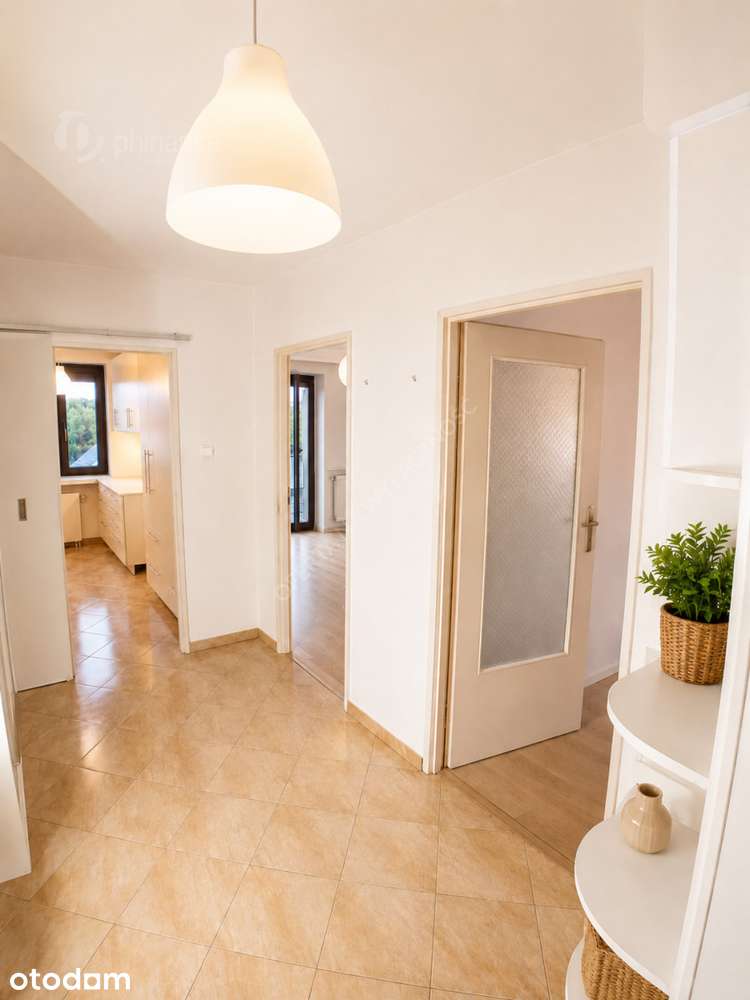 54,5 m² | Duży salon | Oddzielna kuchnia | Balkon