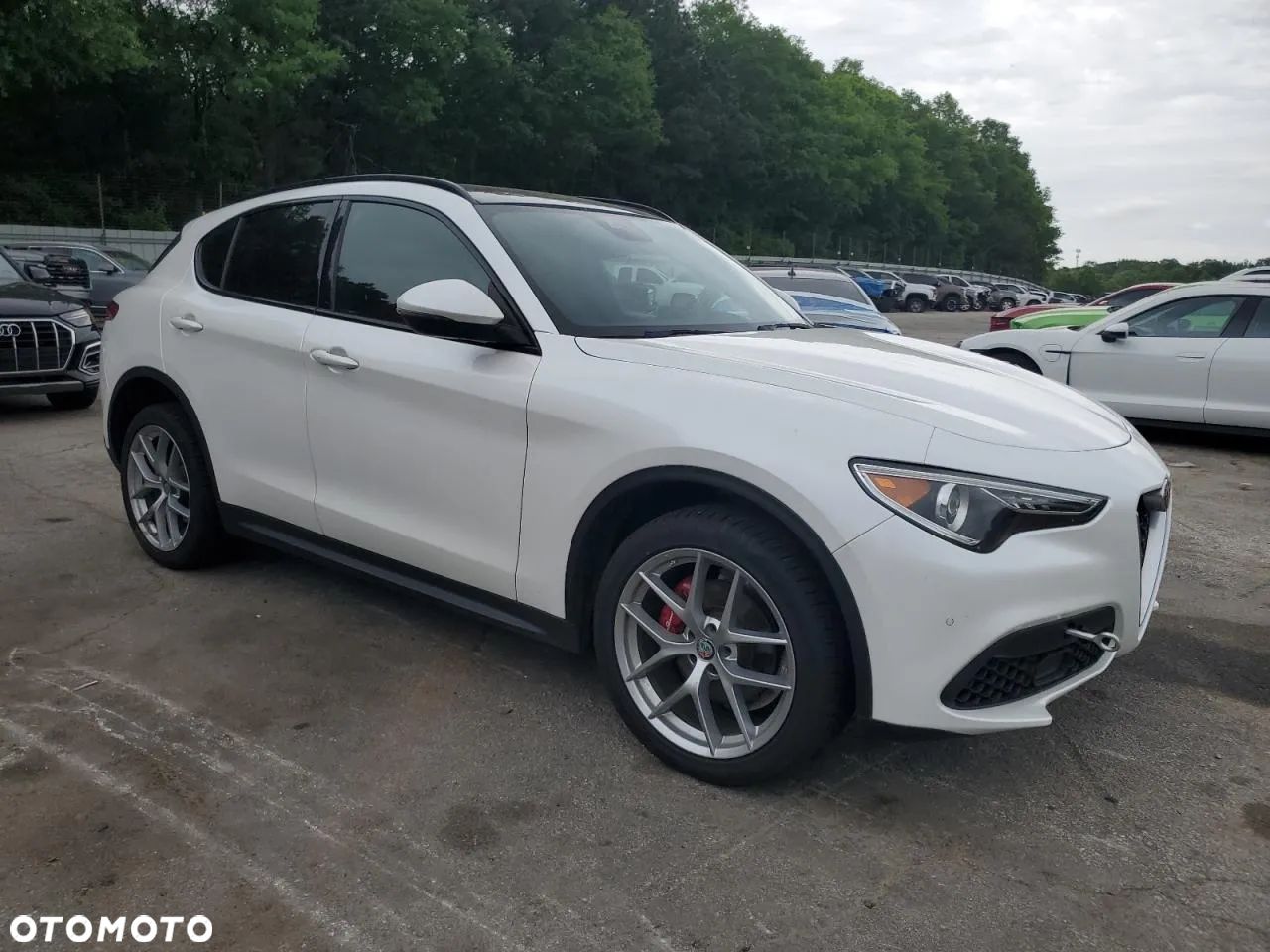 Alfa Romeo Stelvio 2.0 Turbo 16V AT8-Q4 Veloce Ti - 1