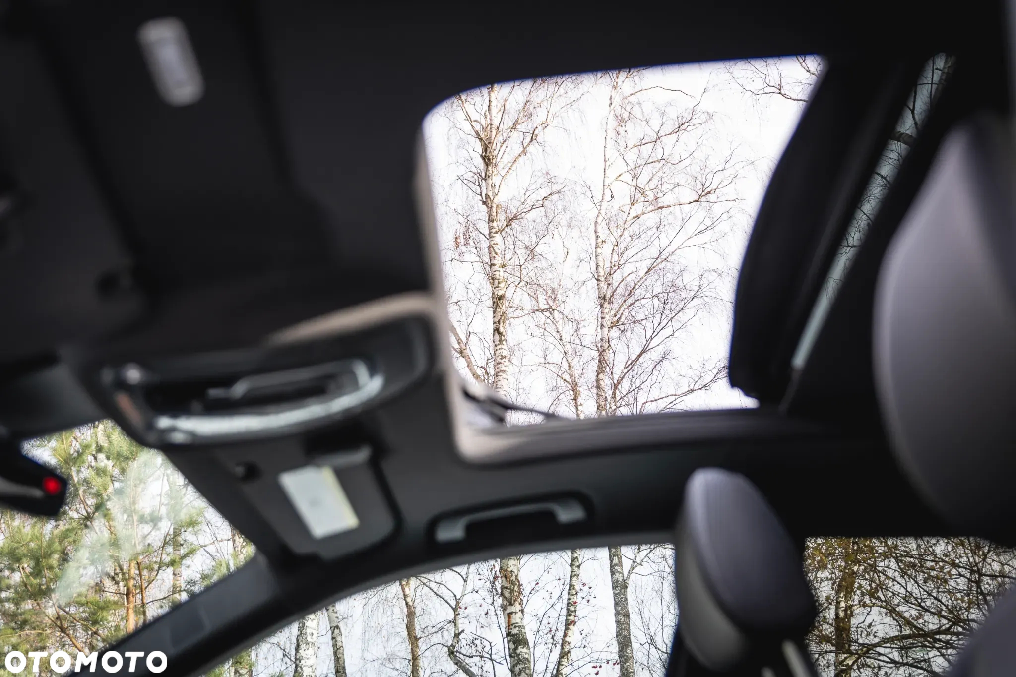 Audi Q8 55 TFSI quattro tiptronic - 22
