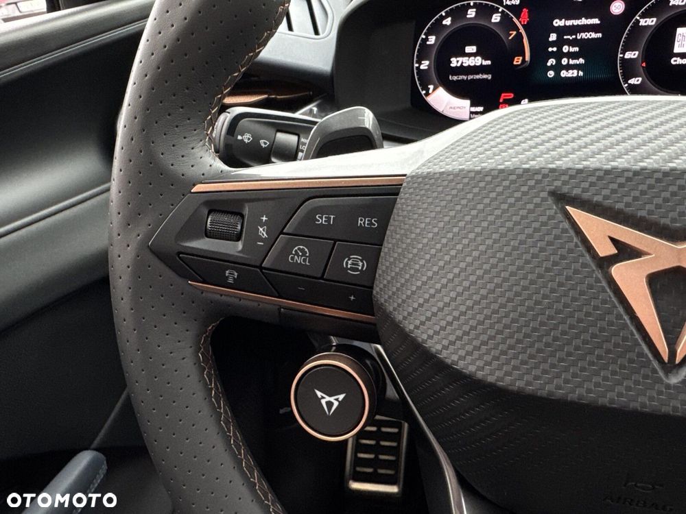 Cupra Terramar - 18