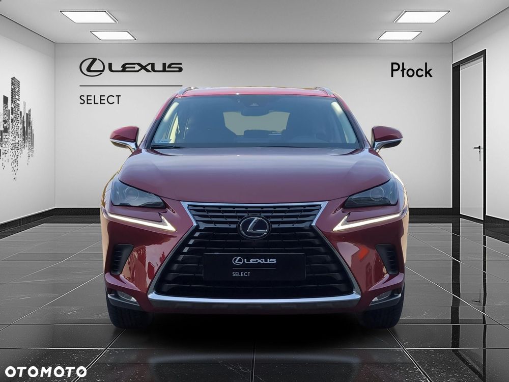 Lexus NX 300h Business Edition AWD - 8