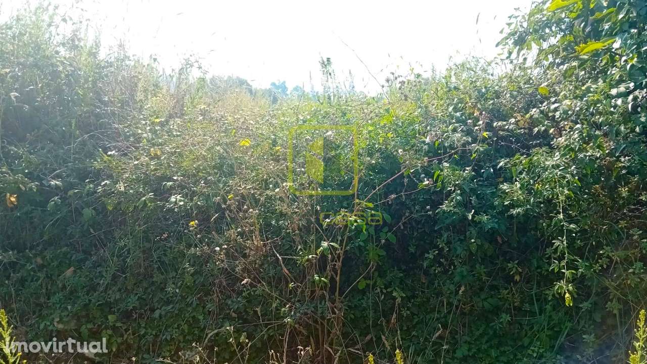 Terreno para Construção - Grande imagem: 3/21