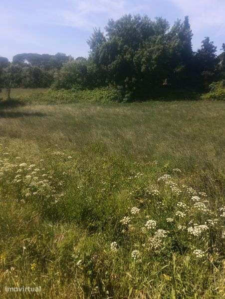Terreno 9800m², Olaia e Paço - Grande imagem: 4/5