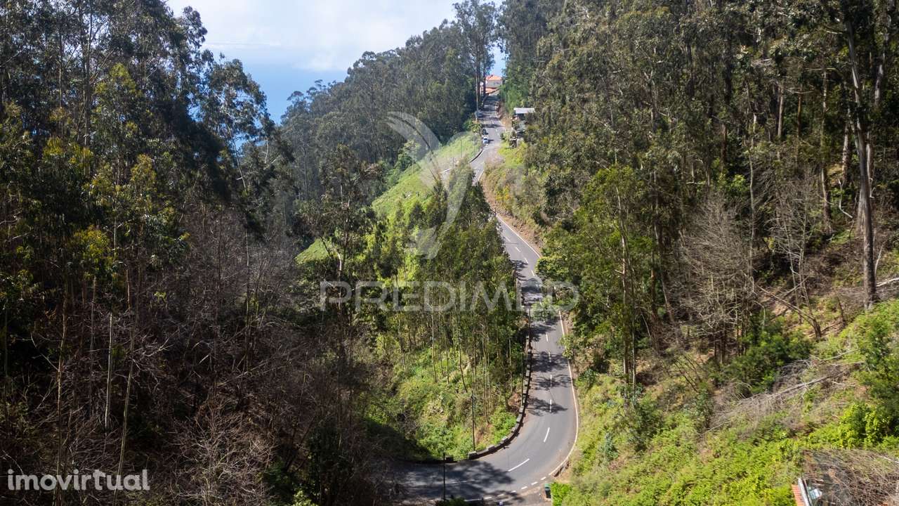 Terreno rústico numa zona verdejante com vista mar - Grande imagem: 2/13