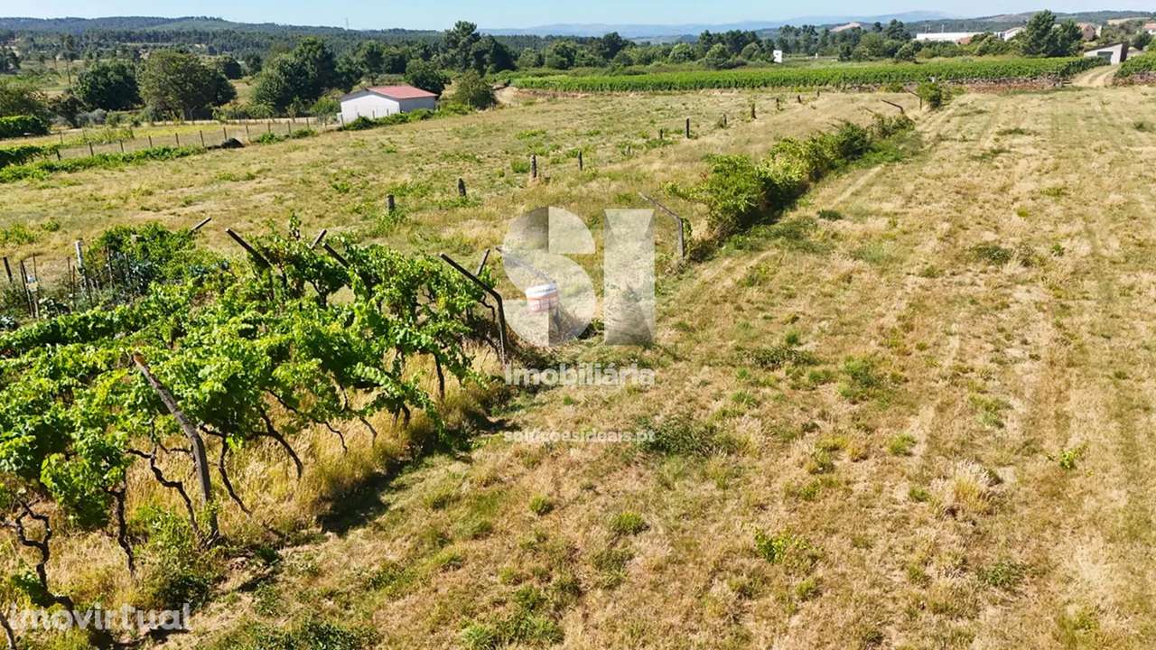 Terreno em Sabrosa - Grande imagem: 4/22