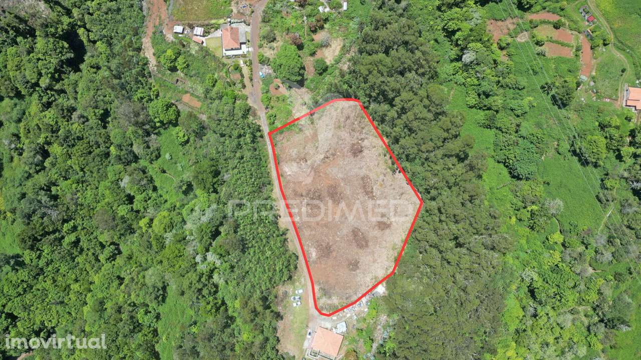 Terreno 7.220 m² plano no Santo da Serra – Ideal para Turismo Rural... - Grande imagem: 5/12