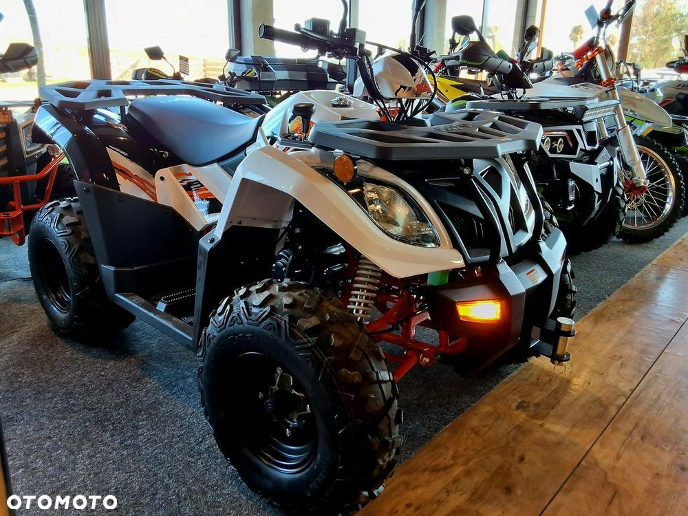 KAYO AU - 3