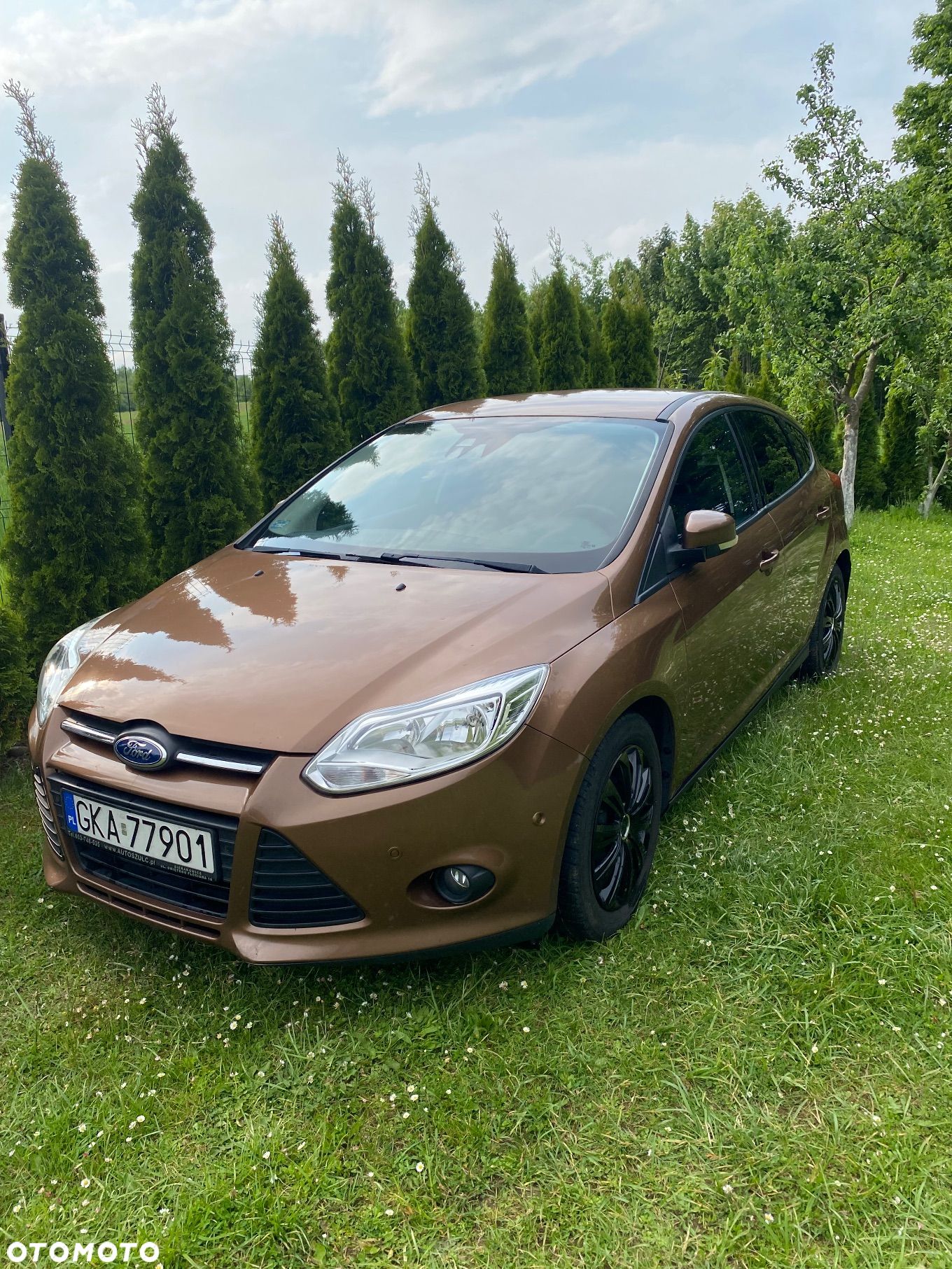Ford Focus - 1