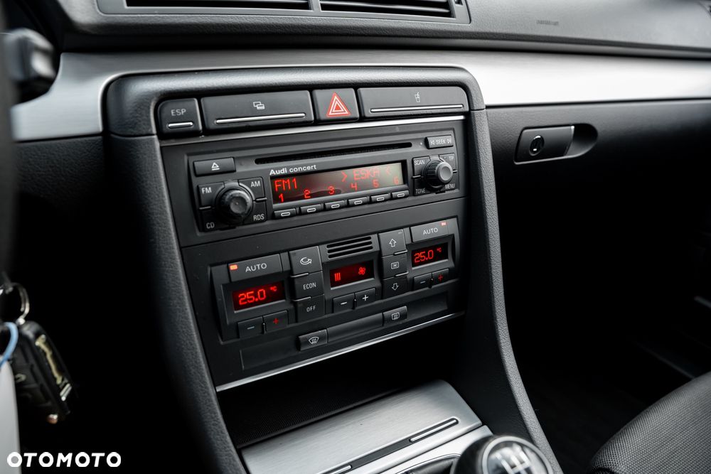 Audi A4 Avant 1.8T - 21