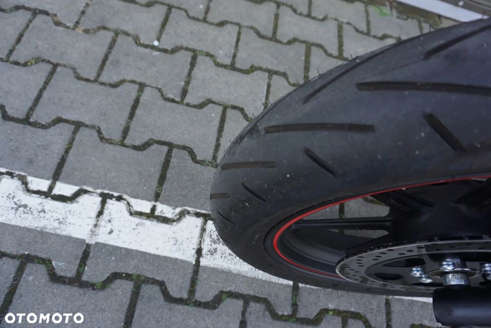 UM Renegade Vegas - 15