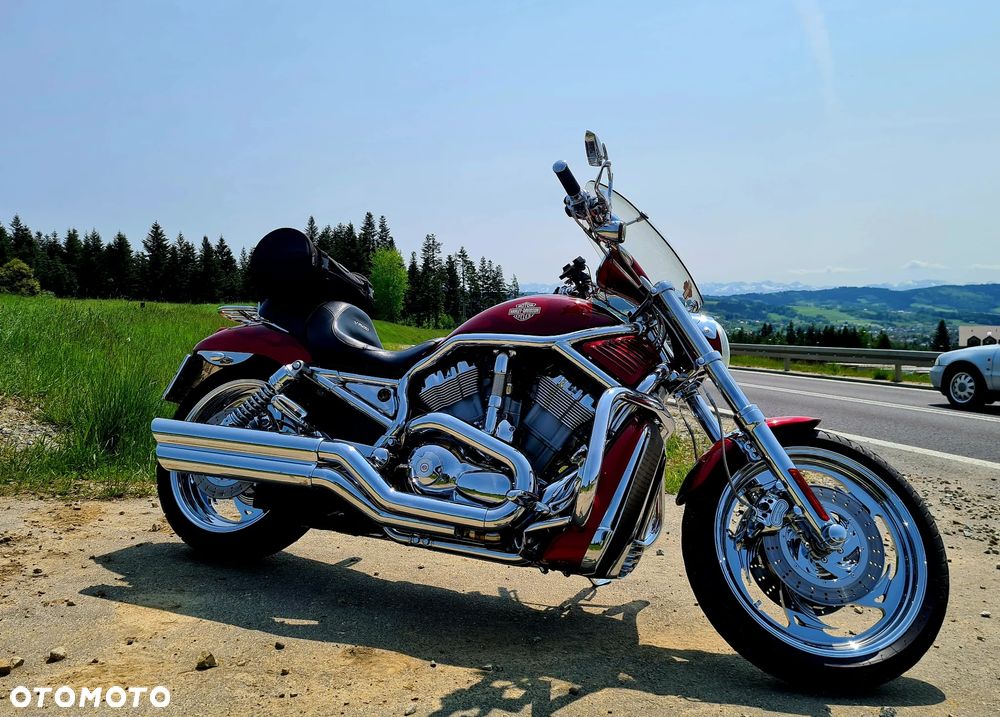 Harley-Davidson Softail V-Rod - 2