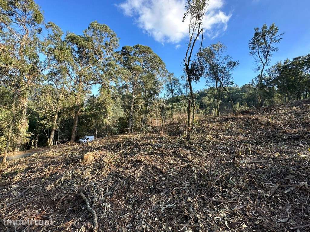 Terreno com 32.000 m2 - Grande imagem: 2/17