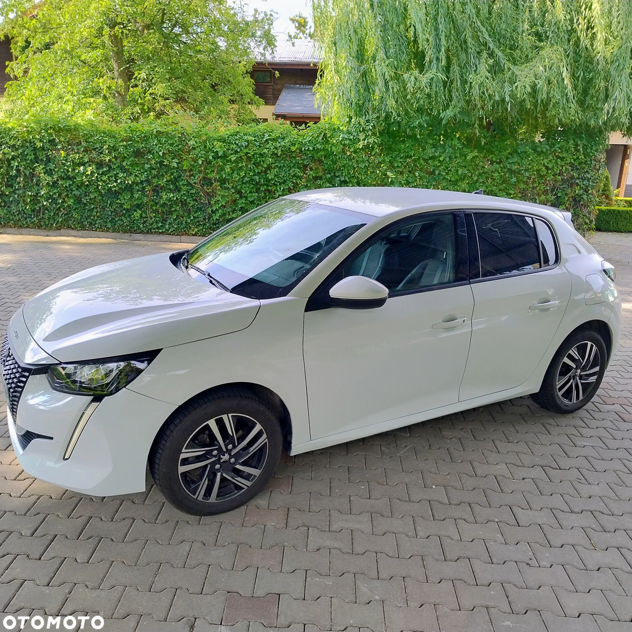 Peugeot 208 1.5 BlueHDi Allure Pack S&S - 17