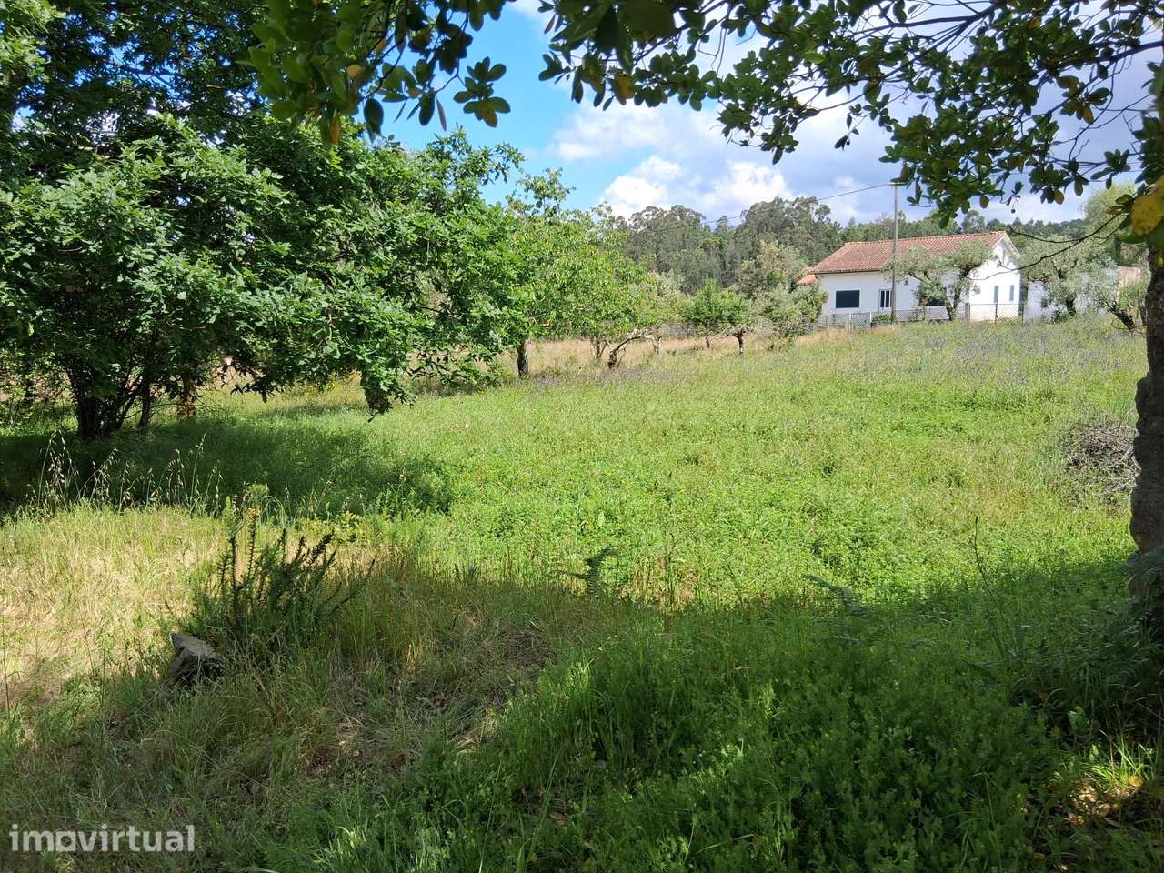 Moradia para Restaurar com Terreno Urbano – Cadaixo, Miranda do Corvo - Grande imagem: 2/40