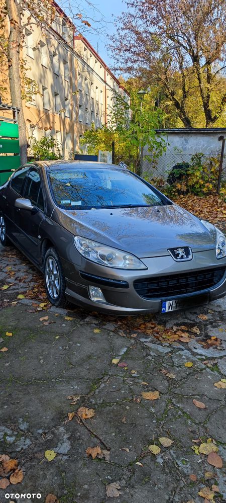 Peugeot 407 - 1