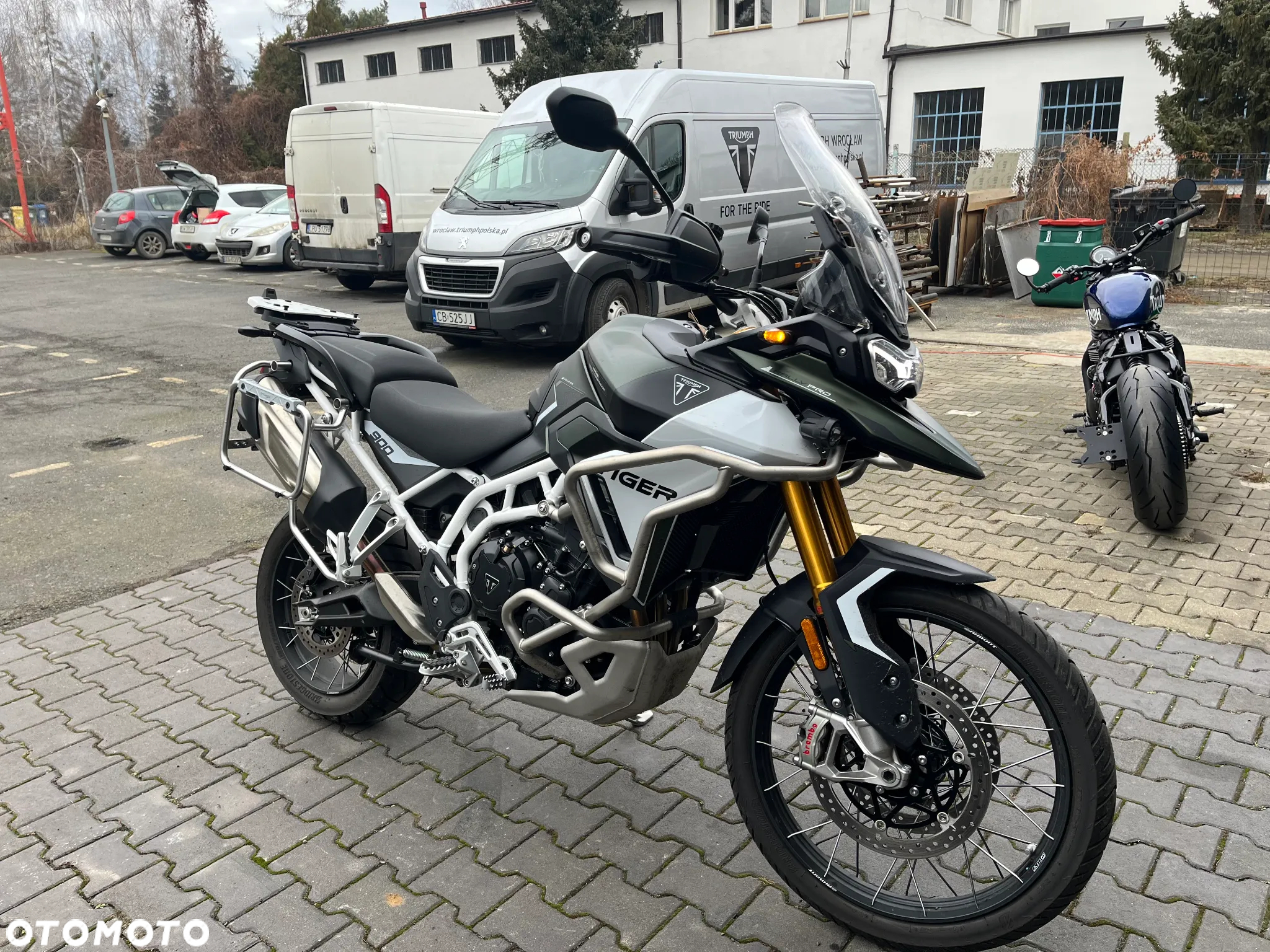Triumph Tiger