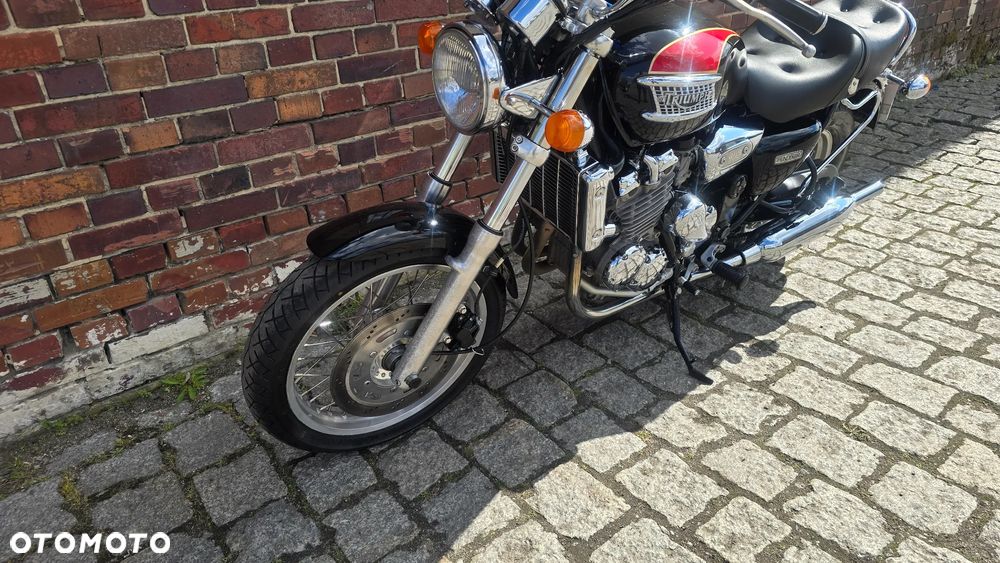 Triumph Thunderbird - 5