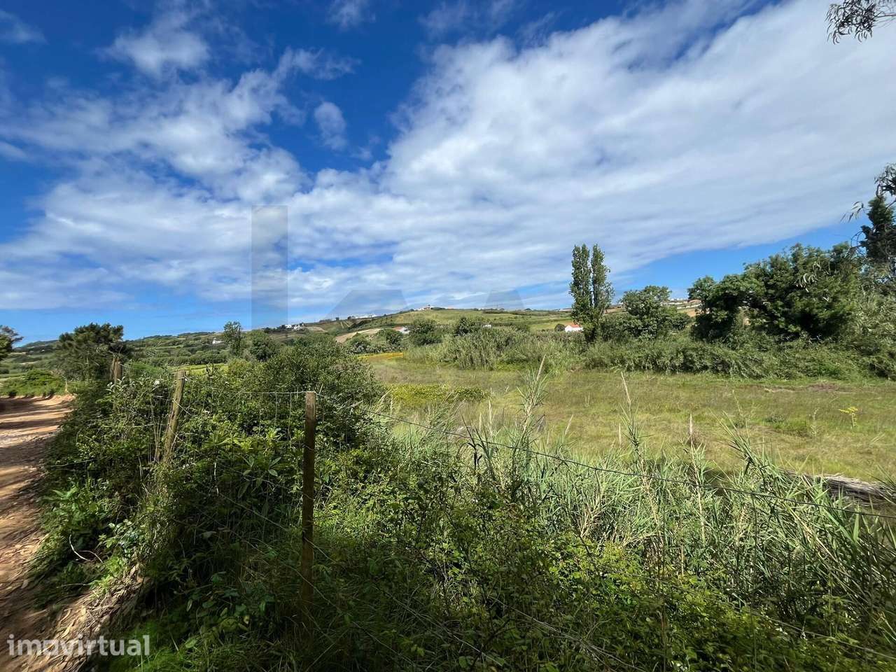Terreno Rustico com 5.750m2 em Santo Isidoro - Grande imagem: 2/15