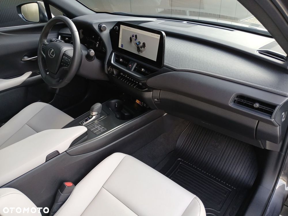 Lexus UX 300h F Sport Design AWD - 24