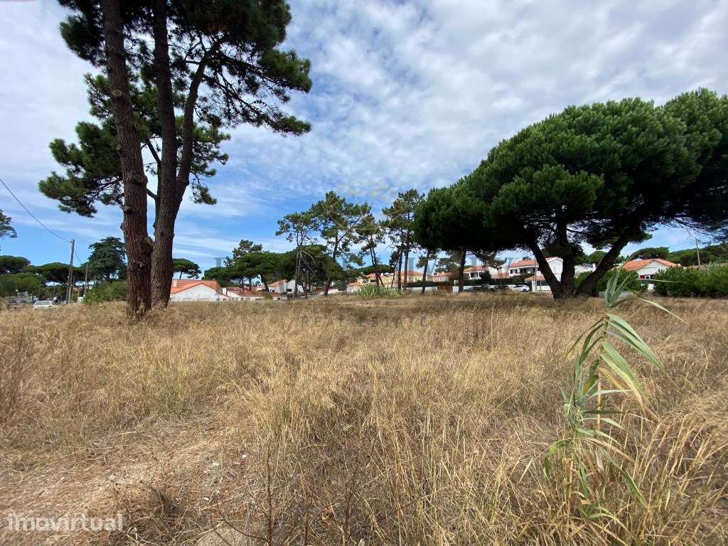 Terreno para 10 moradias, Mucifal, Colares, Sintra - Grande imagem: 5/18