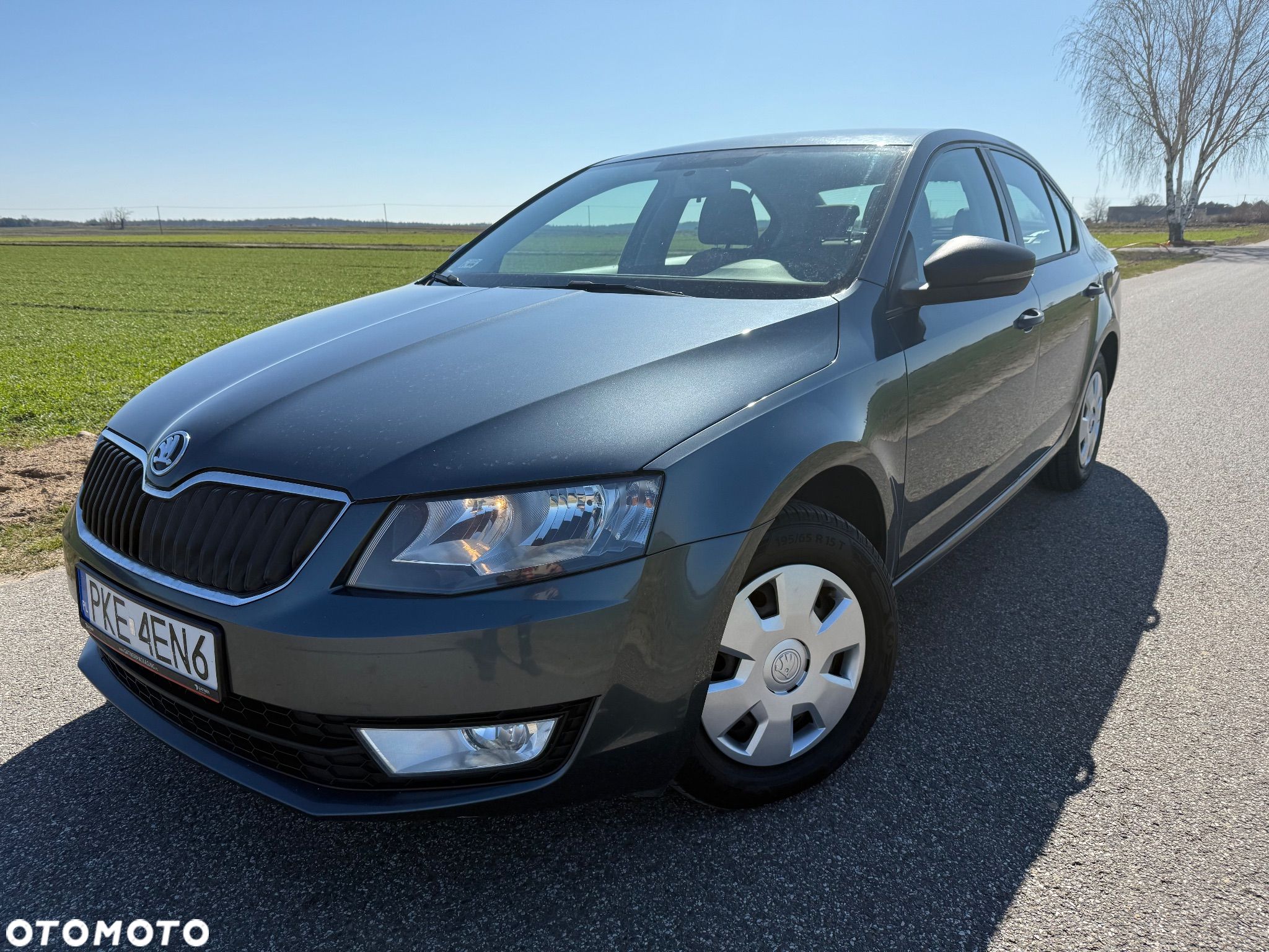 Skoda Octavia 1.6 TDI Active - 4