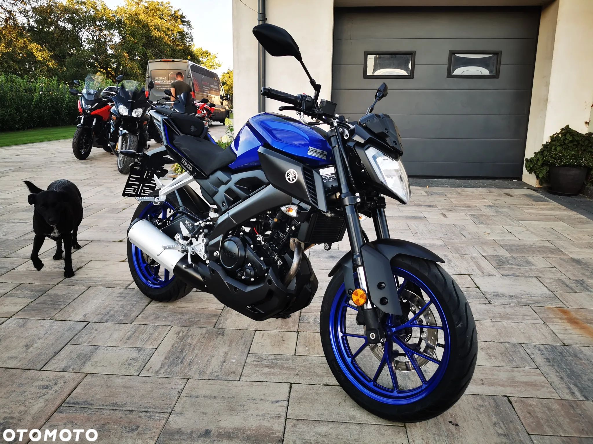 Yamaha MT - 1