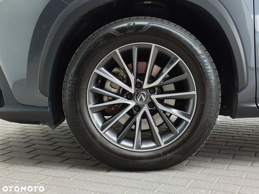 Lexus NX - 13