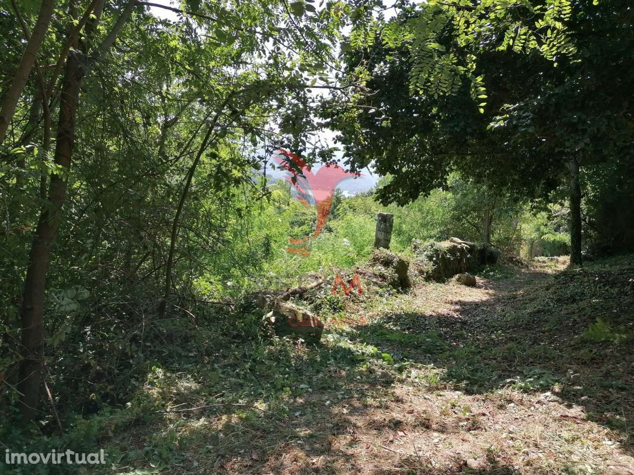 Terreno para Construção com vistas para o Rio Douro - Grande imagem: 3/8