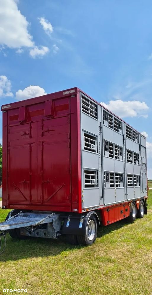 Pezzaioli RBA 32/TRZYOSIOWA PRZYCZEPA-2XBYDŁO,3X TRZODA/HYDRAULICZNIE PODNOSZONY DACH I PODŁOGI / OŚ ŚRODKOWA PODNOSZONA - 4