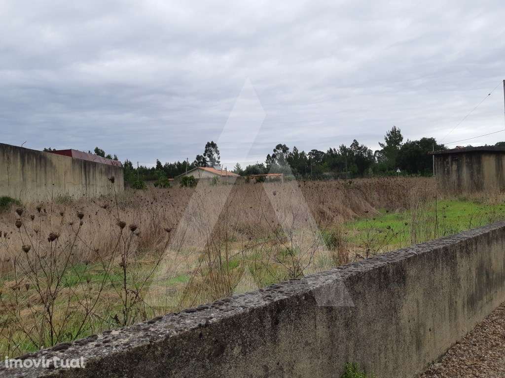Terreno situado a poucos minutos de Anadia - Grande imagem: 2/4