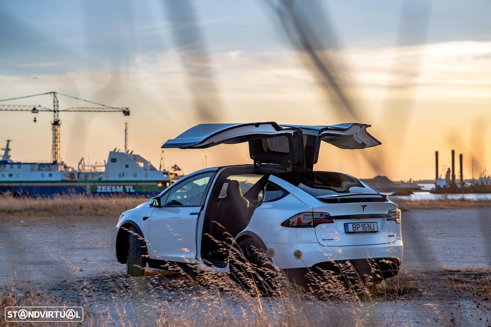 Tesla Model X P100D - 29