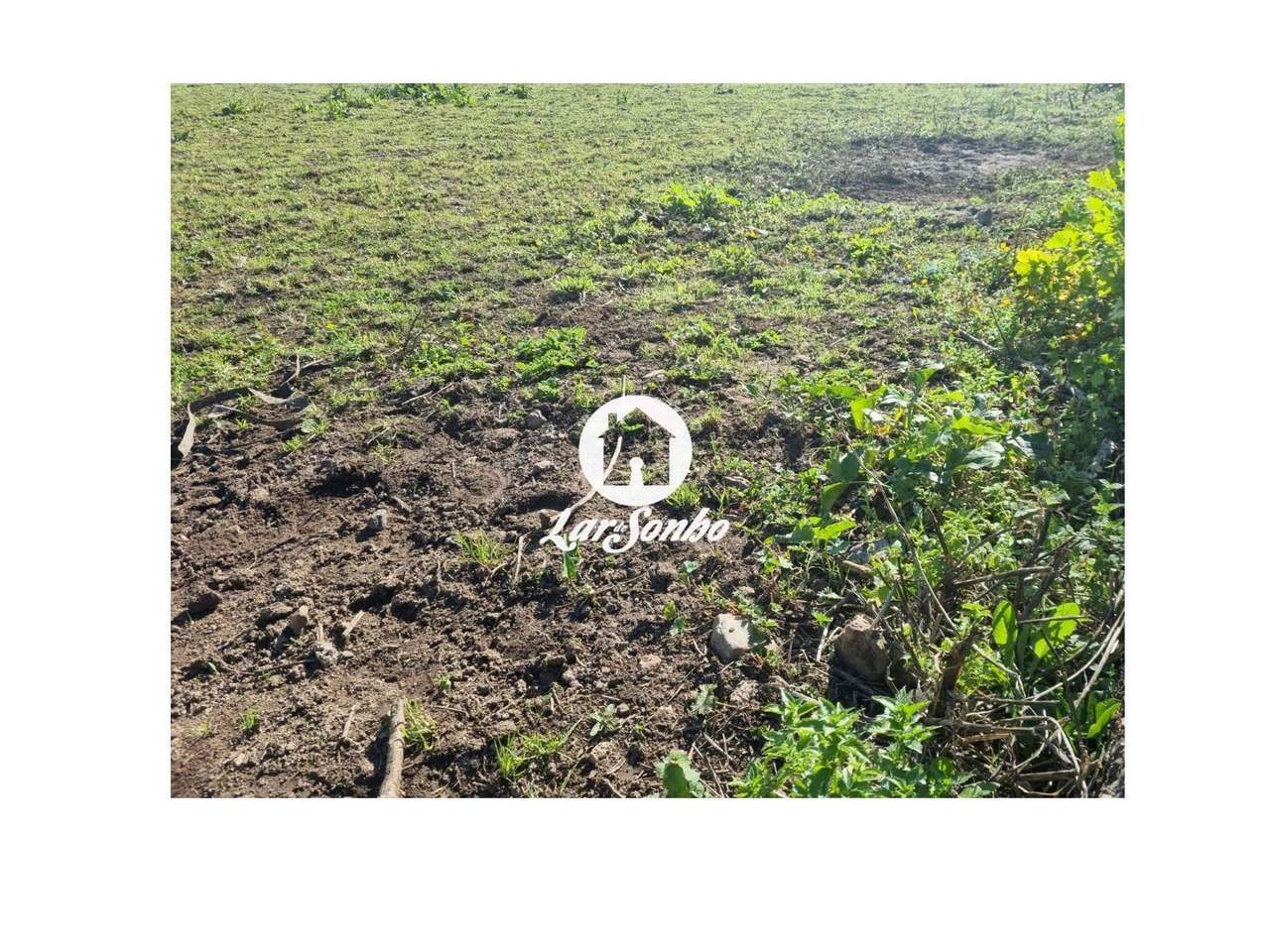 Terreno para construção de Moradia em Apúlia - Grande imagem: 2/14