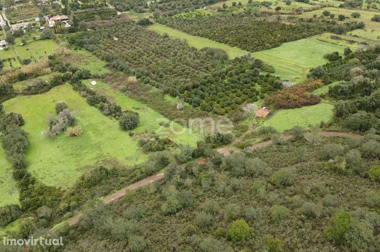 Dois Terrenos Rústicos c/ 4.680m2 em Ladeira da Cumeada - Grande imagem: 3/17