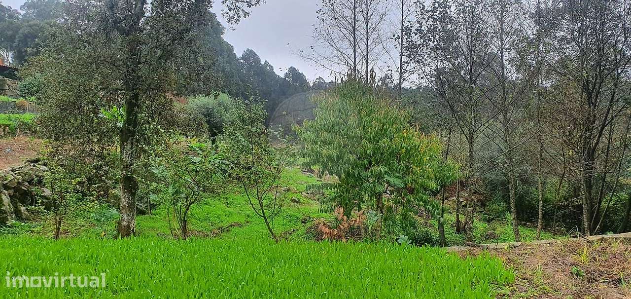 Terreno  para venda - Grande imagem: 3/18