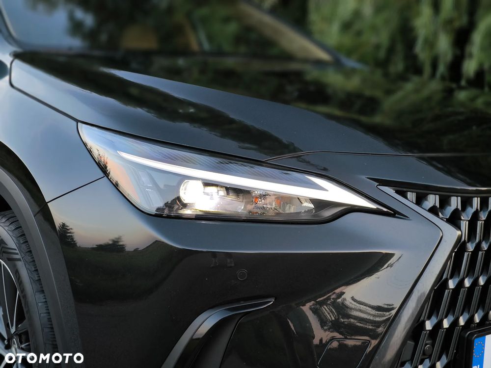 Lexus NX - 15